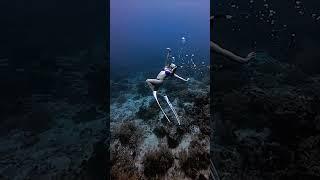 What is like free diving in the Philippines   #shorts #philippines #freediving