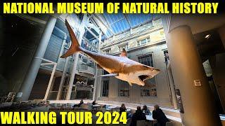 National Museum of Natural History - Walking Tour - Full Walkthrough 2024 - 4k