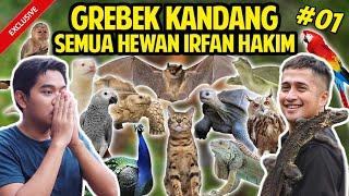 GREBEK SEMUA KOLEKSI HEWAN IRFAN HAKIM TERLENGKAP RUMAH ISINYA HEWAN SEMUA #GREBEKKANDANG #PART1