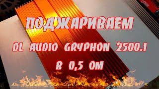 Вся правда о DL Audio Gryphon Pro - 1.2500