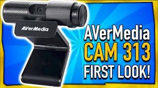 Avermedia Live Streamer CAM 313 Web Cam Review & First Look