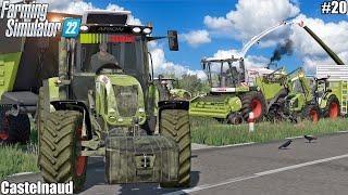 HARVESTING ALFALFA SILAGE and FEEDING ANIMALS W CLAAS│CASTELNAUD│FS 22│20