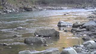 Mountain river Black Cheremosh in Carpathian