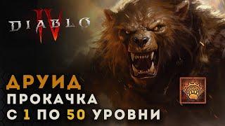 Diablo 4 Гайд по прокачке друида с 1 по 50 уровни. Сокрушение  Диабло 4  D4 guide druid