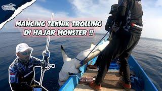 Mancing Teknik Trolling di Hajar Predator Laut Paling Ganas  Hiu Putih