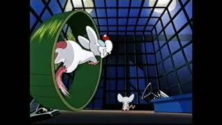 Animaniacs - Pinky and The Brain Intro V2 Volume 6 UK VHS