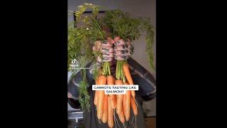 Preserve Carrots by making Vegan Salmon #shorts #short #shortvideo #veganrecipes #veganfood