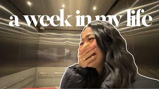 A WEEK IN MY LIFE shopping at winners my skincare routine girls night new hair  Colleen Ho ୨୧