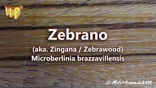 Zebrano microberlinia brazzavillensis aka zebrawoodzingana