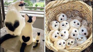 Cute Baby Animals Videos Compilation  Funny and Cute Moment of the Animals #31 - Cutest Animals