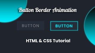 CSS Button Border Animation  HTML CSS Hover Effect