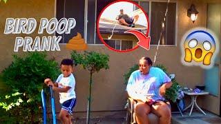 Bird  Prank On Girlfriend *FUNNY*