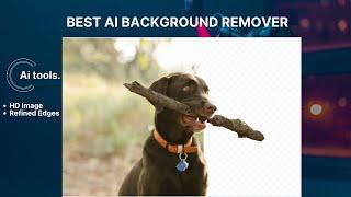 2024  Best AI Tools to Remove Background and Get HD Images