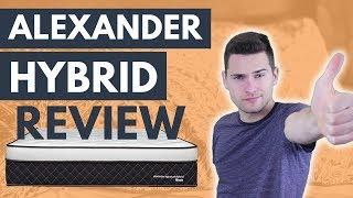 Nest Bedding Alexander Signature Hybrid Review