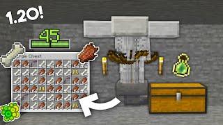 Minecraft Zombie & Skeleton Mob Spawner XP Farm - 1.21 Tutorial