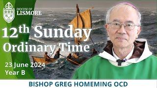 Catholic Mass Today 12th Sunday Ordinary Time 23 June 2024 Bishop Greg Homeming Lismore Australia