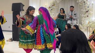 BEST AFGHAN WEDDING ATTAN DANCE #afghanwedding #attan #dance #afghanistan
