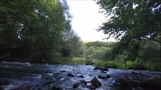 Green river at sunrise.. Relax with water and bird sounds.. Nature meditation and sleep music..