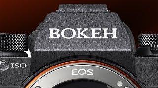 Camera Terms Youre Saying Wrong  Bokeh EOS & ISO Pronunciation
