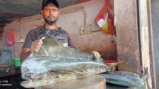 green bat fish -dorado fish -mahi mahi fish  boneless cutting for hotel -Mangalore port Karnataka