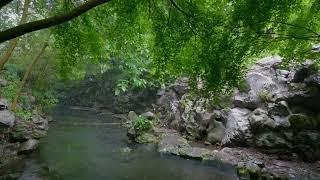 The beautiful little river is raining227  sleep relax meditate study work ASMR