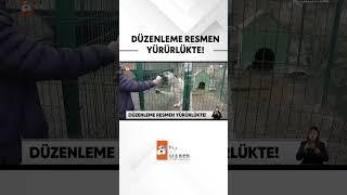 Sokak köpeği düzenlemesi yasalaştı #atvhaber #shorts #sokakhayvanları