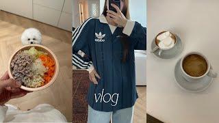 vlog. 일상 브이로그 입니다 feat.집순이