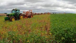 Se tivesse replantado tudo tinha frustrado muito a produção