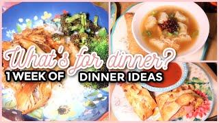 WHATS FOR DINNER? #272  7 Real-Life Family Meal Ideas