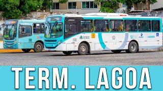 Terminal Lagoa FortalezaCE - Movimentação de Ônibus #765