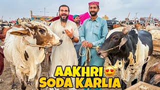 Bakra eid 2023 ka akhri soda karlia Alhamdulillah  kitne janwar lye ?