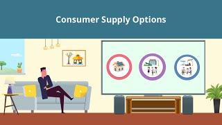 POWER OF CHOICE Electricity Consumers Supply Options