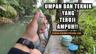 SUDAH TERUJI PASTI POIN WADER  Mancing ikan wader pakai teknik pecut dan teknik gantung