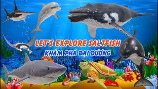 Bé Khám Phá Đại Dương - Lets Explore Saltfish - Bé Biết Nói Sớm