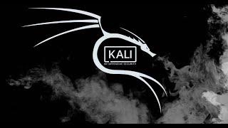 Como crear un USB booteable persistente con kali linux 2020.3 - Muy facil