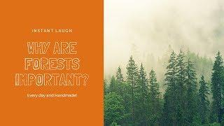 Why are Forests Important?