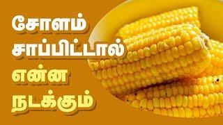Health benefits of Corn in Tamil