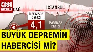 Marmara Denizi 41le Sarsıldı İstanbulda Da Hissedilen Deprem Ne Anlatıyor?