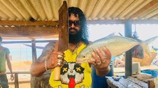 Amazing  Best Fish Slicer You Will Ever See.lanka negombo fish