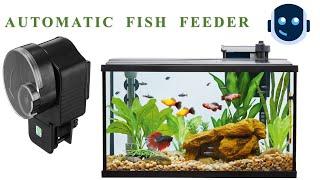 Intro - Automatic Fish Feeder