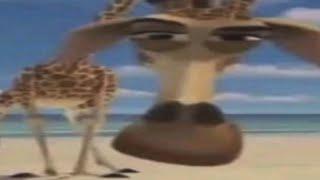 Top 5 Madagaskar