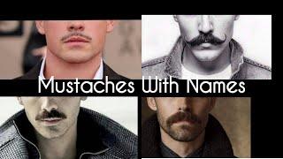 Types of Mustache with their names  Stylin Net