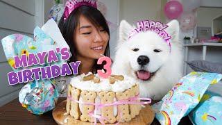 My Dogs EXCITING Third Birthday With DIY Dog Birthday Cake Recipe
