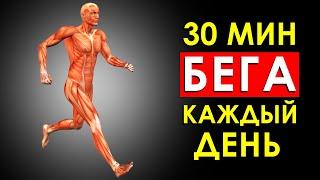 30 МИНУТ БЕГА Что Будет с Телом Если Бегать Каждый День