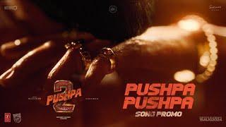 PUSHPA PUSHPA Song Promo - Pushpa 2 The Rule  Allu Arjun  Sukumar  Rashmika  Fahadh Faasil DSP