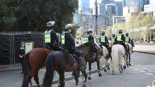 Victorian Shadow Police Minister warns against ‘pack mentality’ violence