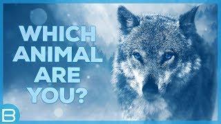 Which Animal Are You?