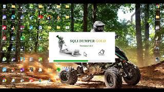 find all your dumped data saved automatically  Sql i dumper gold  