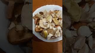 Сбор белых 09.07.2023 г.  Курская область #shorts #funny #грибы #shortsvideo #shortvideo #fungi