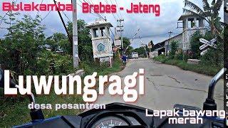 Jalan Desa Luwungragi Bulakamba Brebes - Jateng